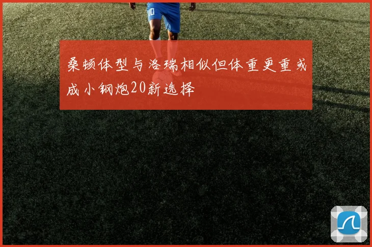 桑顿体型与洛瑞相似但体重更重或成小钢炮20新选择