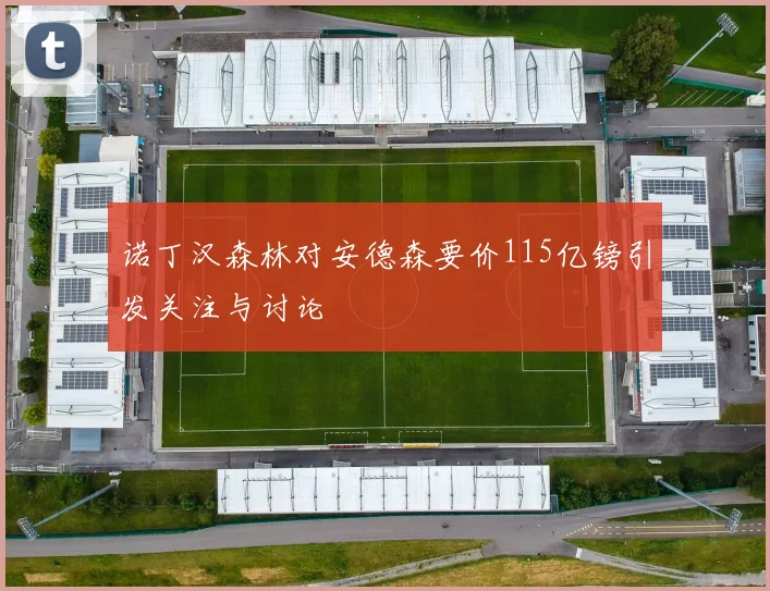 诺丁汉森林对安德森要价115亿镑引发关注与讨论