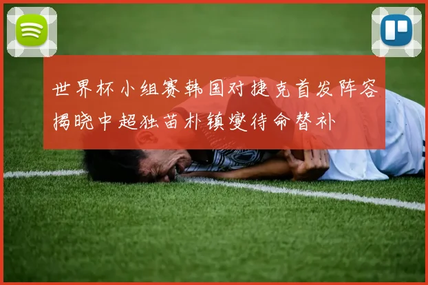 世界杯小组赛韩国对捷克首发阵容揭晓中超独苗朴镇燮待命替补
